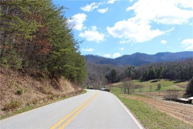 00 Burleson Gap Rd, Burnsville, NC 28714 - photo 3