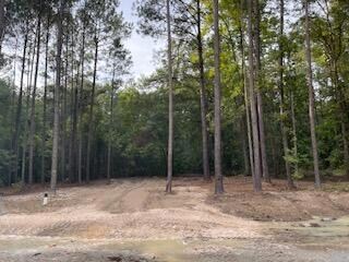 6684 Luckys Bridge Rd, Dearing, GA 30808 - photo 2