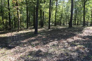 1494 Wolf Springs Rd, Harrison, AR 72601 - photo 4