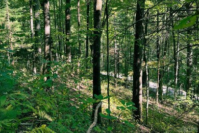 16 & 17 Cullowhee Forest Rd, Cullowhee, NC 28723 - photo 4