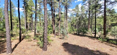 2250 S Trillium Ln, Show Low, AZ 85901 - photo 6