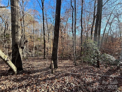 0 Polk County Line Rd unit CAR4322658, Rutherfordton, NC 28139 - photo 7