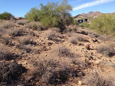 View from eastern boarder looking west f
