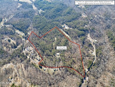 1803 Elkins Rd, Kodak, TN 37764 - photo 4