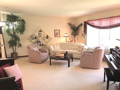 117 Americo St, Ludlow, MA 01056 - photo 5