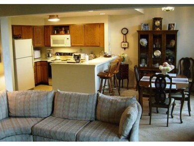 17 Village Rd unit 2, Waterville Valley, NH 03215 - photo 3