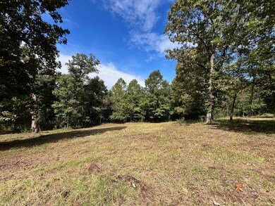 000 Rainbow Valley Trail, Mammoth Spring, AR 72554 - photo 6