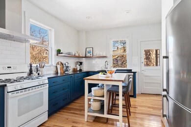 60 Chestnut St unit 2, Brookline, MA 02445 - photo 4