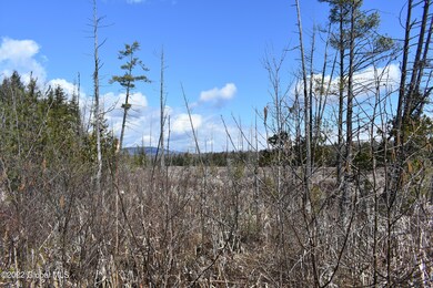 00 Hardscrabble Rd, Chester, NY 10918 - photo 7