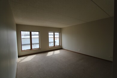 6415 Elm St unit 3B, Morton Grove, IL 60053 - photo 4
