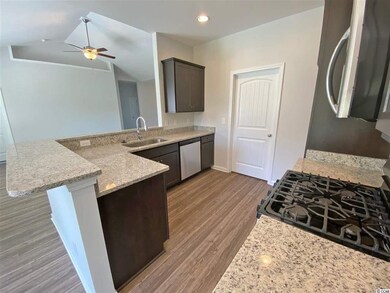 332 Palm Terrace Loop unit Lot 107 Busbee Floor, Conway, SC 29526 - photo 2