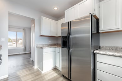 509 W Jefferson St, Shorewood, IL 60404 - photo 7