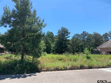 10881 Deer Creek Dr, Tyler, TX 75707 - photo 2