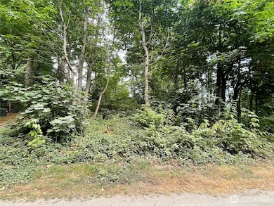 32 K Beach Way, Hat Island, WA 98206 - photo 7