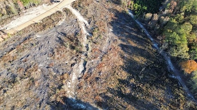 5 Gatewood Rd, Pittsview, AL 36871 - photo 3