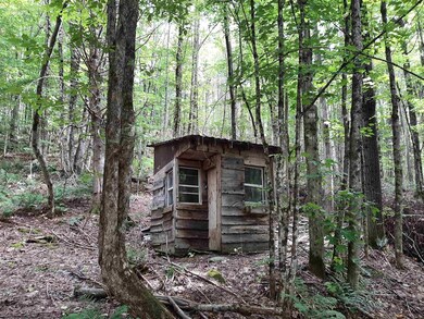 - Cedar Ln, Stewartstown, NH 03597 - photo 7