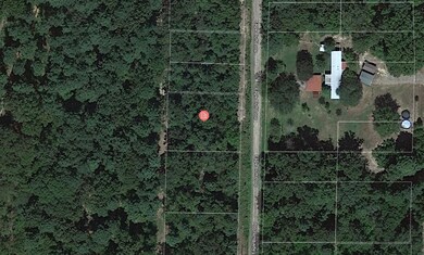 0 Eagle Bluff Loop unit Avinger TX 75630, Avinger, TX 75630 - photo 4