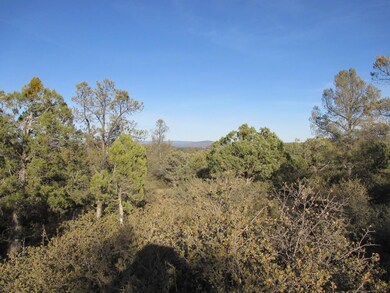 Photo 06