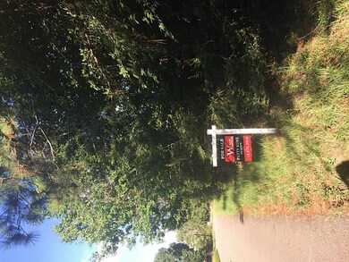 0 West Ln, Magnolia, TX 77354 - photo 4