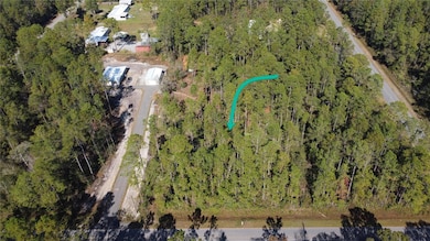 4150 Melanie St, Hastings, FL 32145 - photo 3