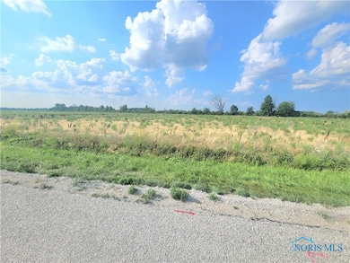 0 W Walbridge Rd, Martin, OH 43445 - photo 2