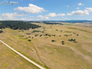 14252 S Highway 83, Larkspur, CO 80118 - photo 5