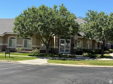View of property hidden behind natural elements with stucco siding and stone siding