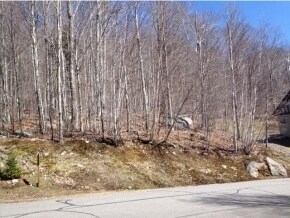 28 Flume Rd, Lincoln, NH 03251 - photo 2