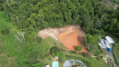 CARR 677 K1 H5 LOTE Bo Espinosa Comm La Pra, Dorado, PR 00646 - photo 4