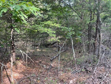 20221022215048091196000000-o (1)