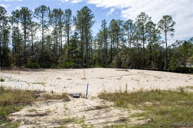 View from back of lot Nov. 2025