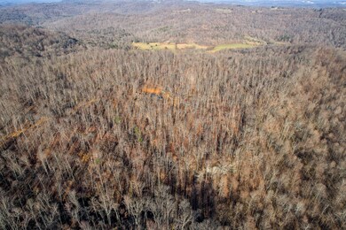 0 Board Valley Rd unit RTC2366292, Cookeville, TN 38501 - photo 4