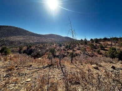 0 16 Springs Canyon Rd unit 171885, Flying H, NM 88339 - photo 4