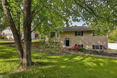 330 N Marshall St, Allentown, PA 18104 - photo 4