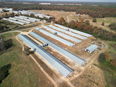 0 Cowbranch Rd, Hackleburg, AL 35564 - photo 3