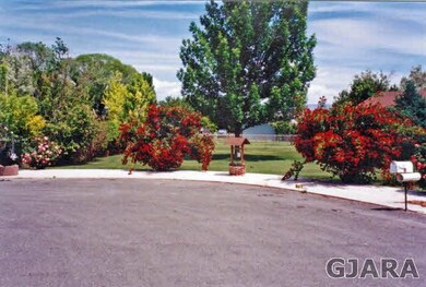 Older picture of the mature landscape in the front