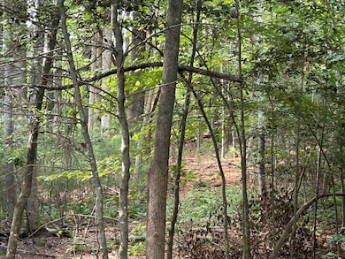 L 10&16 Josie Dr, Blairsville, GA 30512 - photo 4