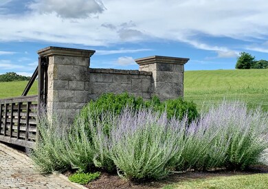 3957AA2F-F8B1-407D-8DC5-7142677D217D_1_2