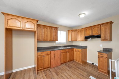 2813 Micmac Dr, Birmingham, AL 35215 - photo 6