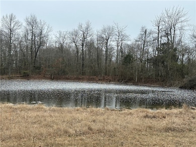 0 Liberty Rd unit 1296842, Leslie, AR 72645 - photo 3