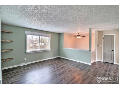 Large Living Room Window Provides Lots of Natural Light