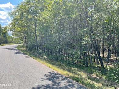 L18.2 Old Kings Rd, New Baltimore, NY 12087 - photo 3