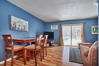 170 E Hadley Rd unit 107, Amherst, MA 01002 - photo 6