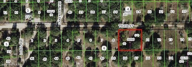 2503 Tyler St, Inverness, FL 34453 - photo 2