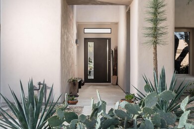 Pivot Front Door