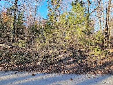 Lot 5 Blk 1 Carter 133, van Buren, MO 63965 - photo 2