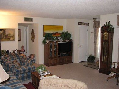 17203 N Jasmine Dr, Sun City, AZ 85373 - photo 7