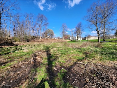 0 Northeast Ave unit 5114314, Tallmadge, OH 44278 - photo 4