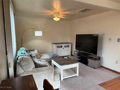 271-REAR W 43rd St, Shadyside, OH 43947 - photo 2