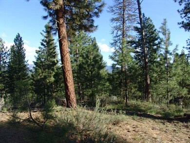 3.7 Acres With a Good Building Site